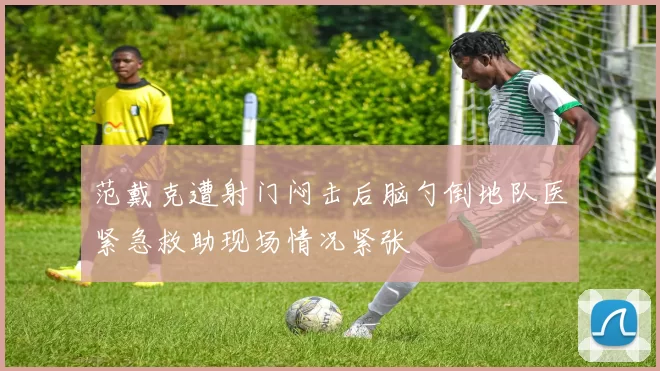 范戴克遭射门闷击后脑勺倒地队医紧急救助现场情况紧张